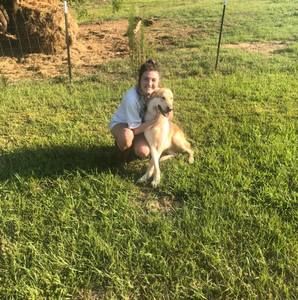 Meet your Posher, Taylor